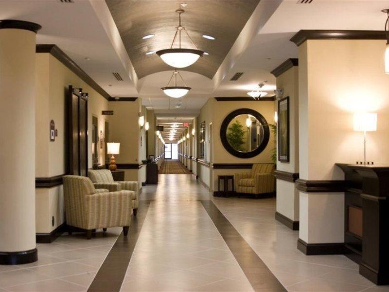 Holiday Inn Express Hotel & Suites Tampa-Usf-Busch Gardens By Ihg Exterior foto